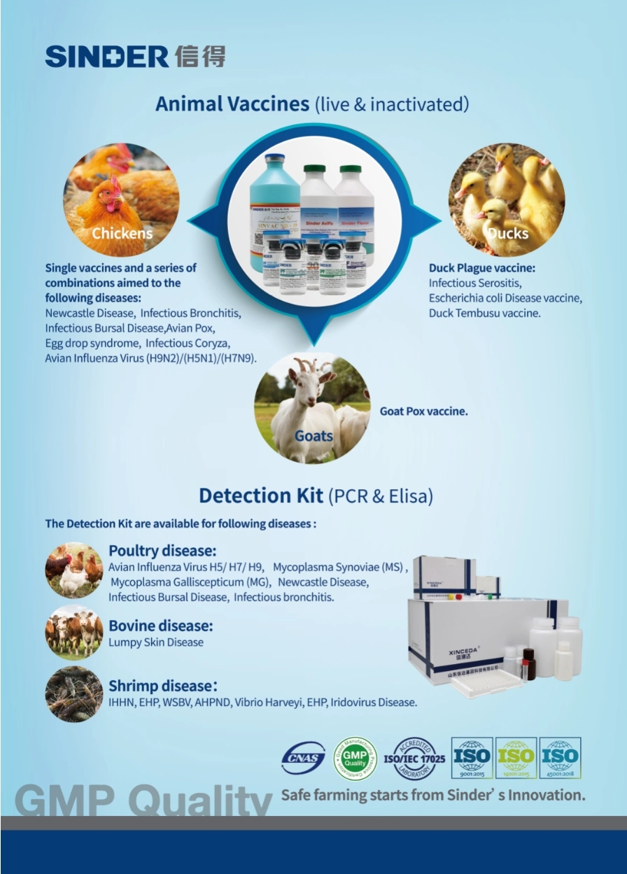 Infectious Bursal Disease Ibd Poultry Vaccine (Strain B87) for Bird Use