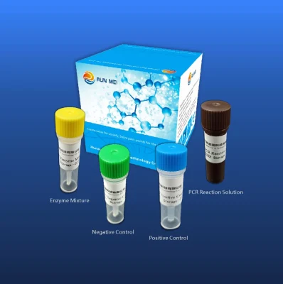 Kit PCR de détection des acides nucléiques du sous-type H10 du virus de la grippe a